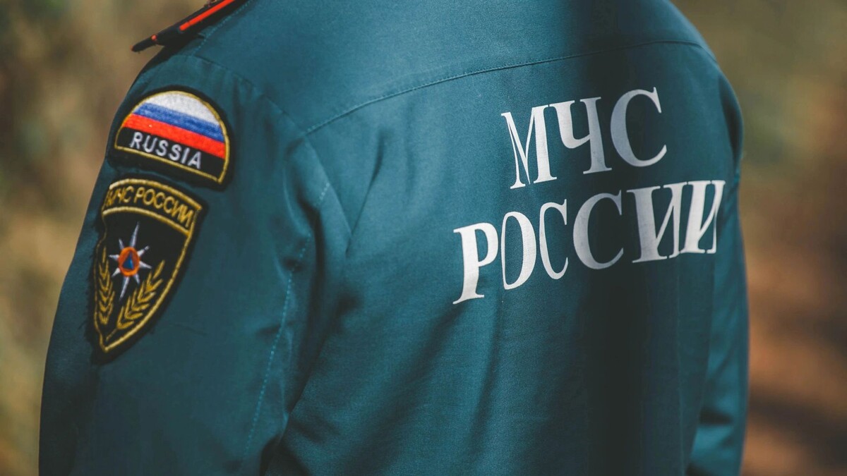    Фото: Dizzy_Studio/Shutterstock/Fotodom