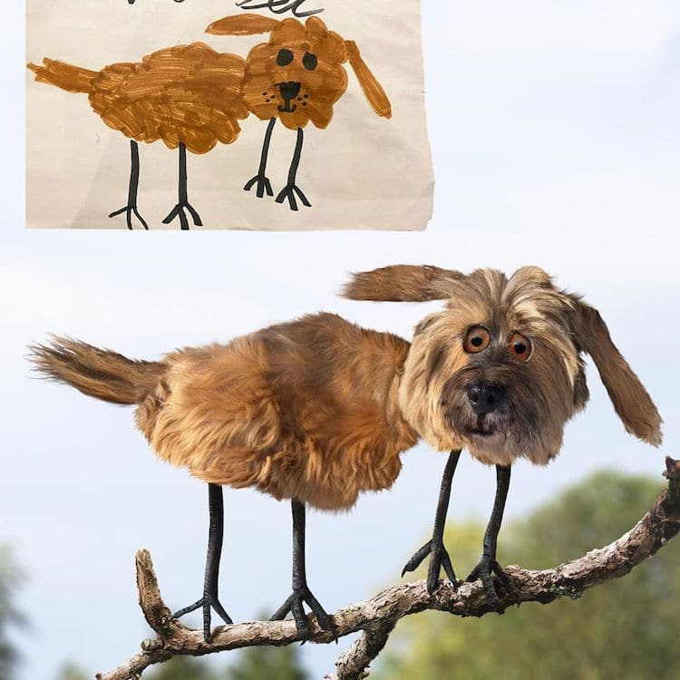 Источник: www.thingsihavedrawn.com