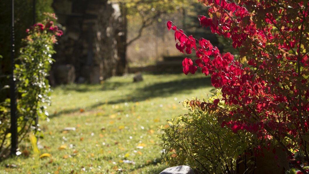    Фото: Nikolay Gyngazov/Global Look Press