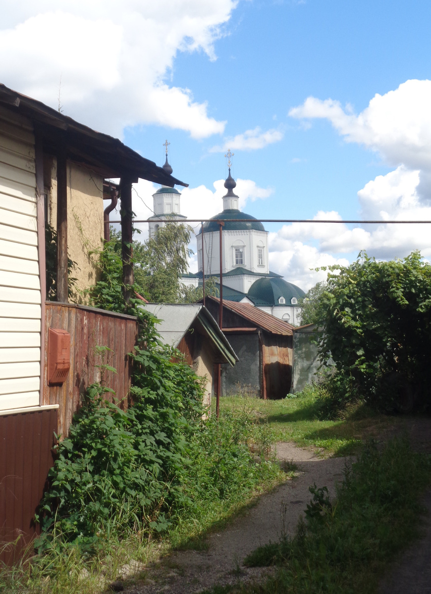 Все фото автора. Август 2025 год.