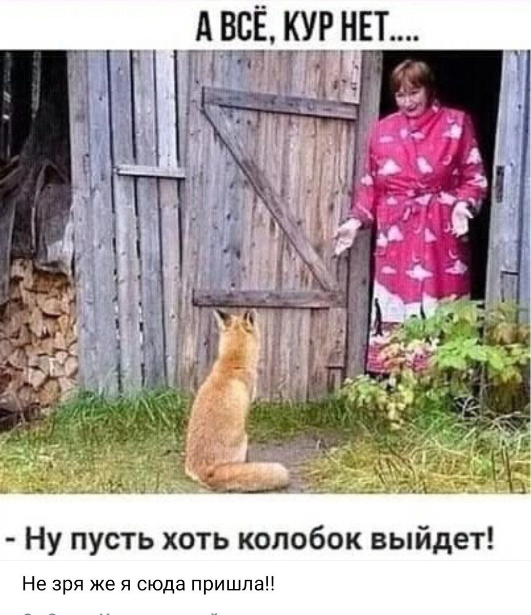 -6