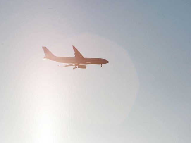    Фото: depositphotos/Shebeko