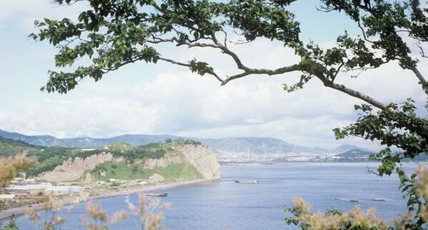    РИА «Новости»