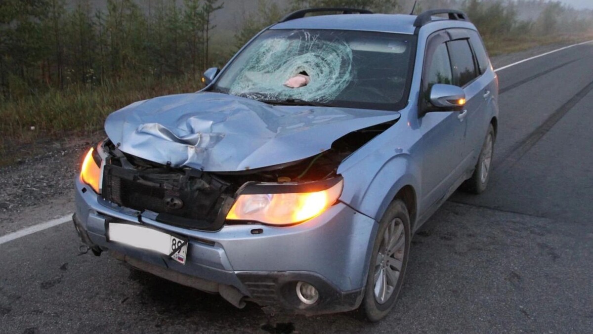    Фото предоставлено пресс-службой Госавтоинспекции Ямала