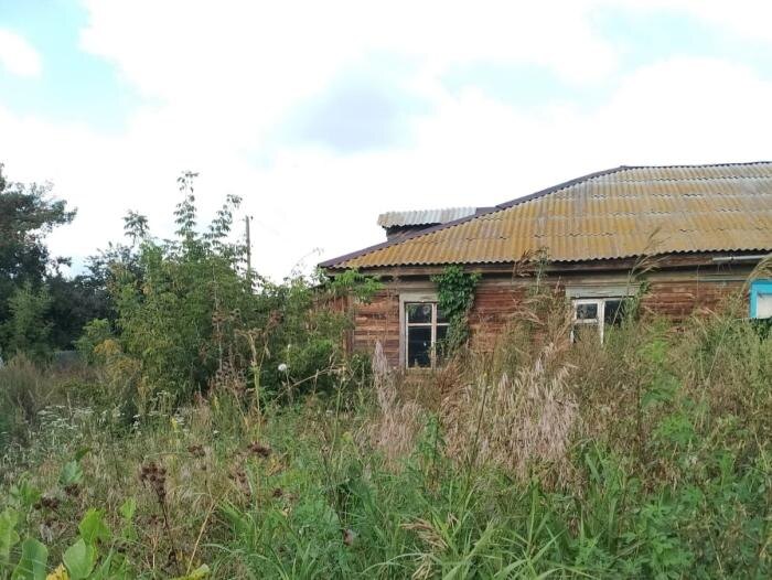     Фото: сообщество «Реальный Каменск-Уральский»