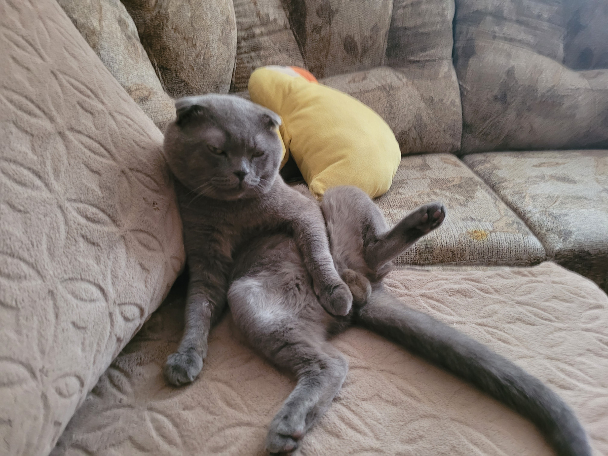 Привет всем, Я - Дарс