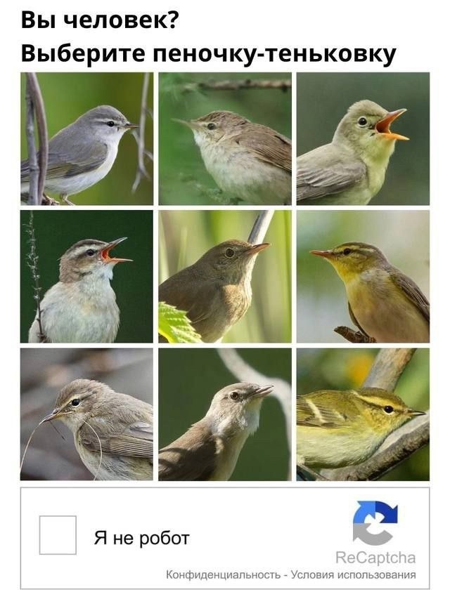 из открытых источников