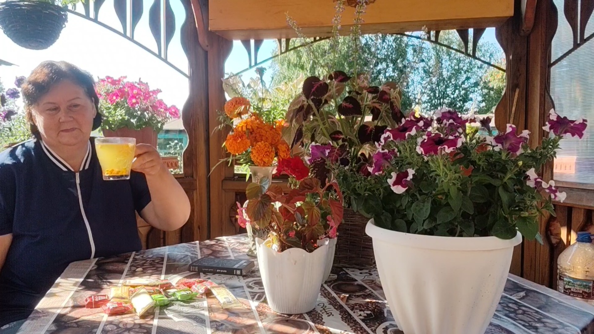 Фото автора.