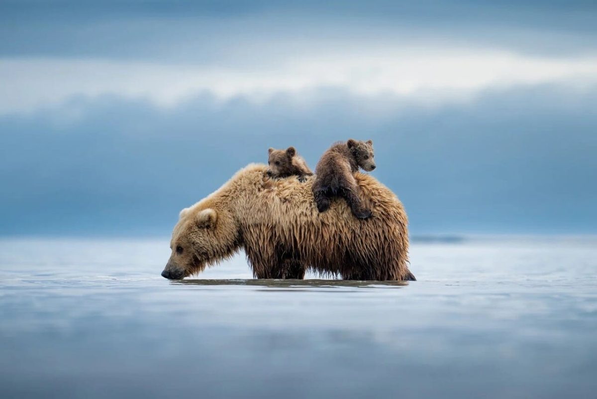    Спасательная шлюпка / © Casey Cooper