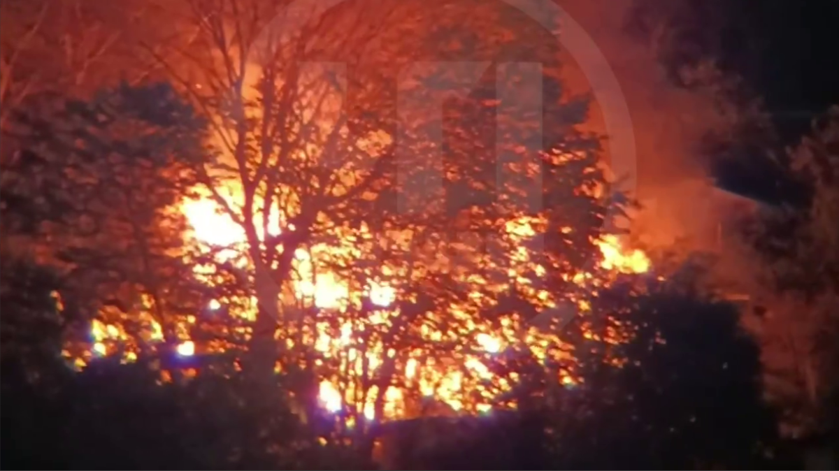    Фото: Telegram/ЧП Сочи