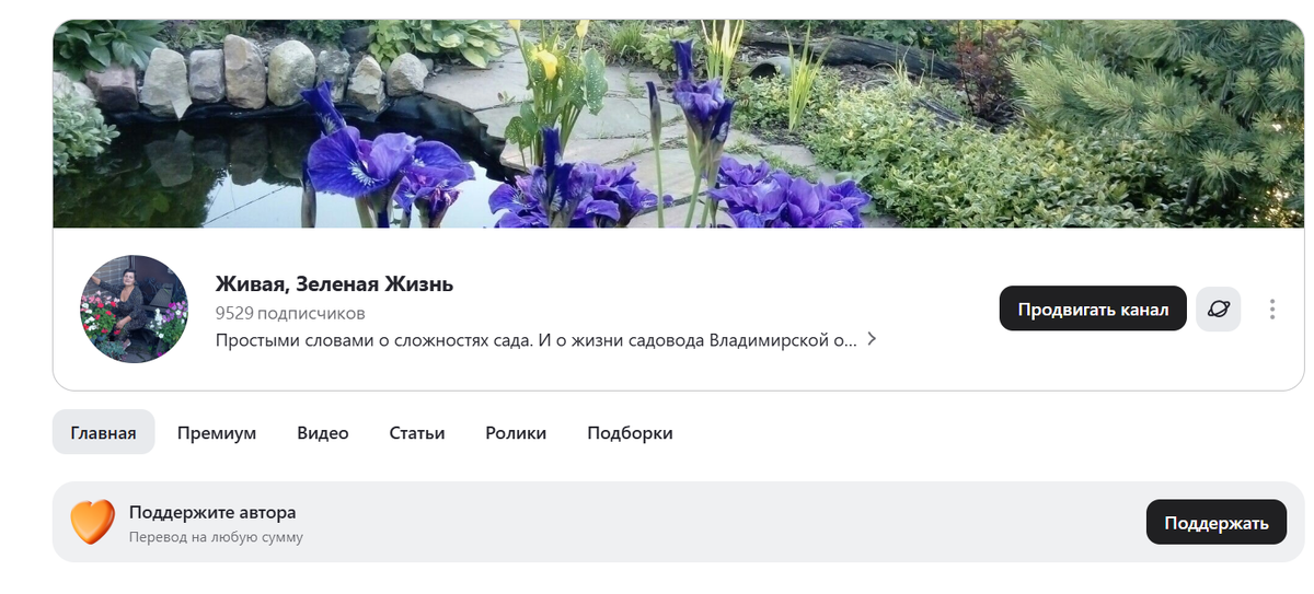 главная страница