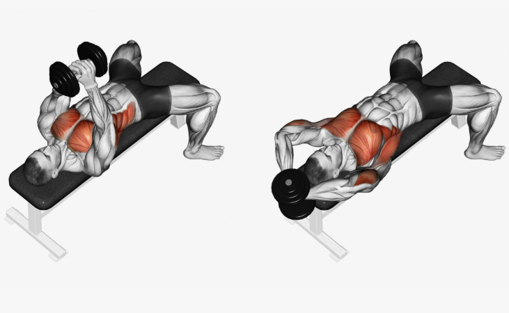 Упражнение "пуловер" распрямляет позвоночник, расправляет плечи и грудную клетку. (из откр.источников, сайт Яндекс.Картинки).