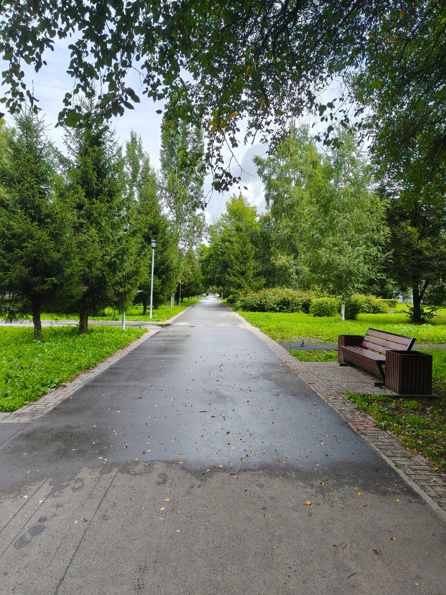 После дождей появилось солнце и грело нас несколько дней. И обратите внимание, ещё много зелени.