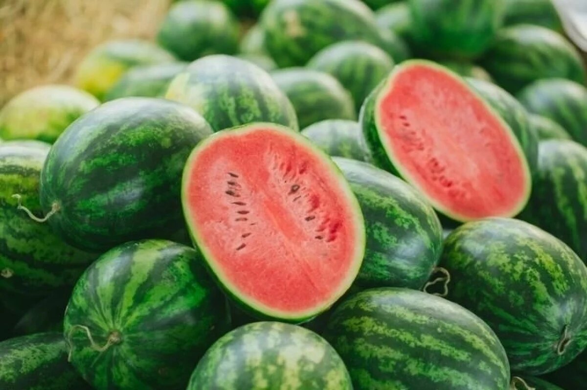    Россия впервые с 2023 года возобновила ввоз арбузов из Грузии