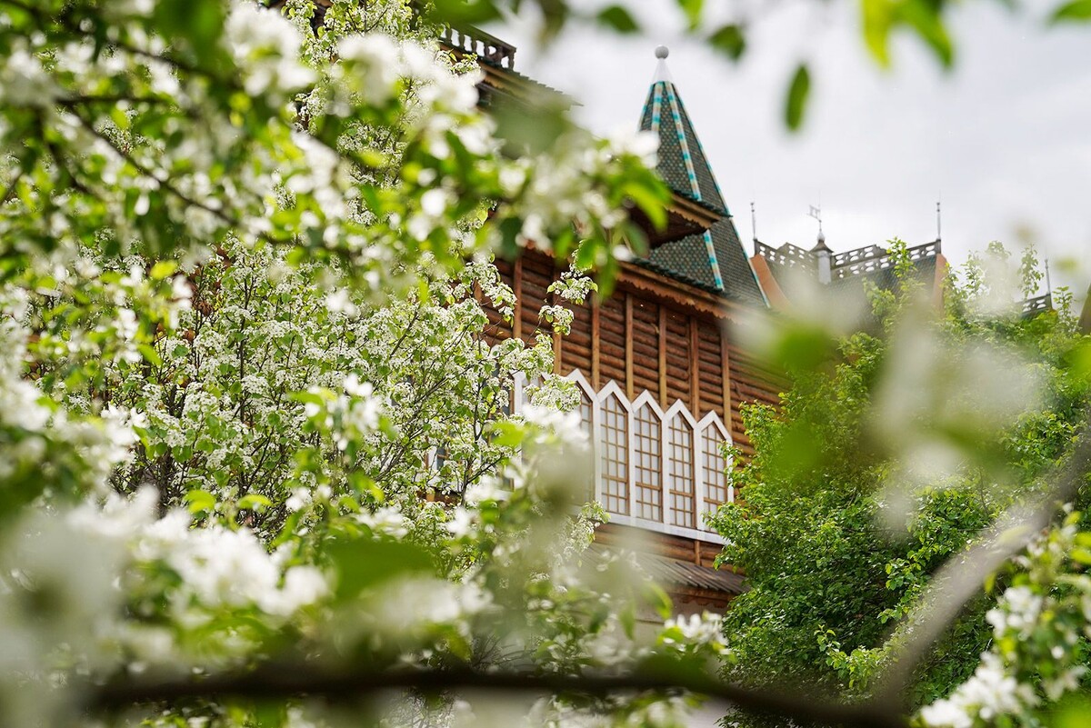 Общество будущего. Цветущая Москва https://www.mos.ru/news/item/123735073/