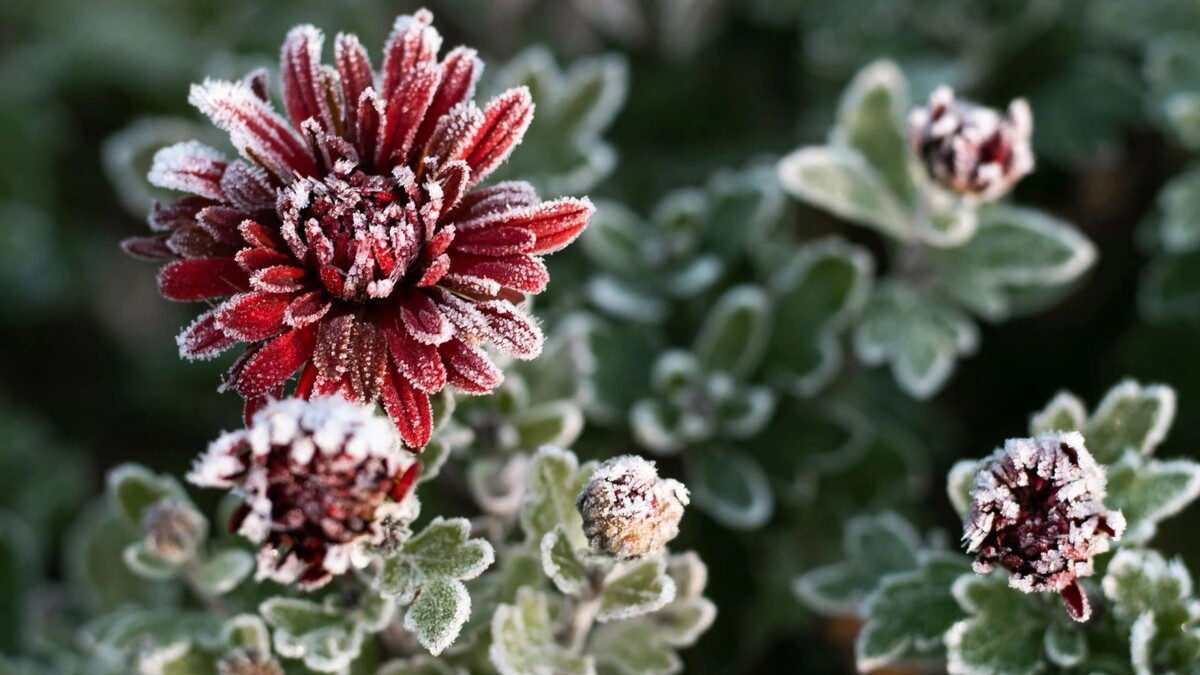    Фото: JeannieR/Shutterstock/Fotodom