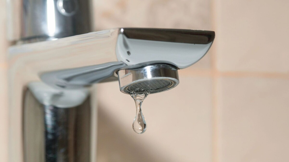    Фото: Lipskiy/Shutterstock/Fotodom