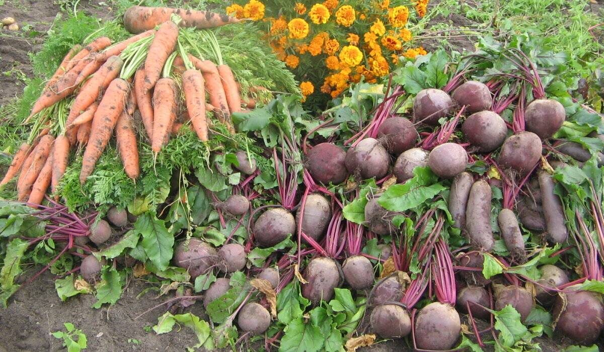 Идея из интернета