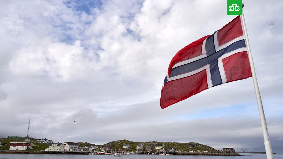    Фото: Barnabas Davoti / unsplash.com