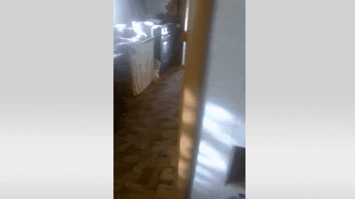    Вот так жили Елена с соседкой. Видео сделано в августе 2024 года. Предоставлено Еленой Яковлевой