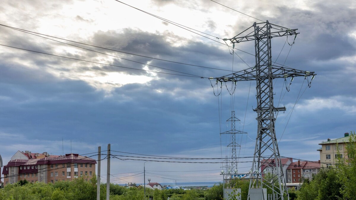    Фото: Федор Воронов/«Ямал-Медиа»