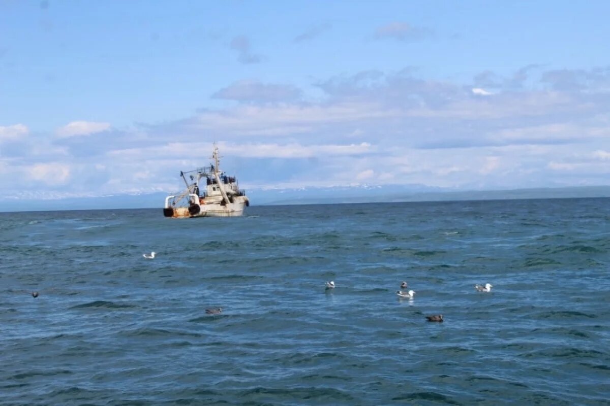    Ученые завершили исследование запасов рыбы у восточного побережья Камчатки