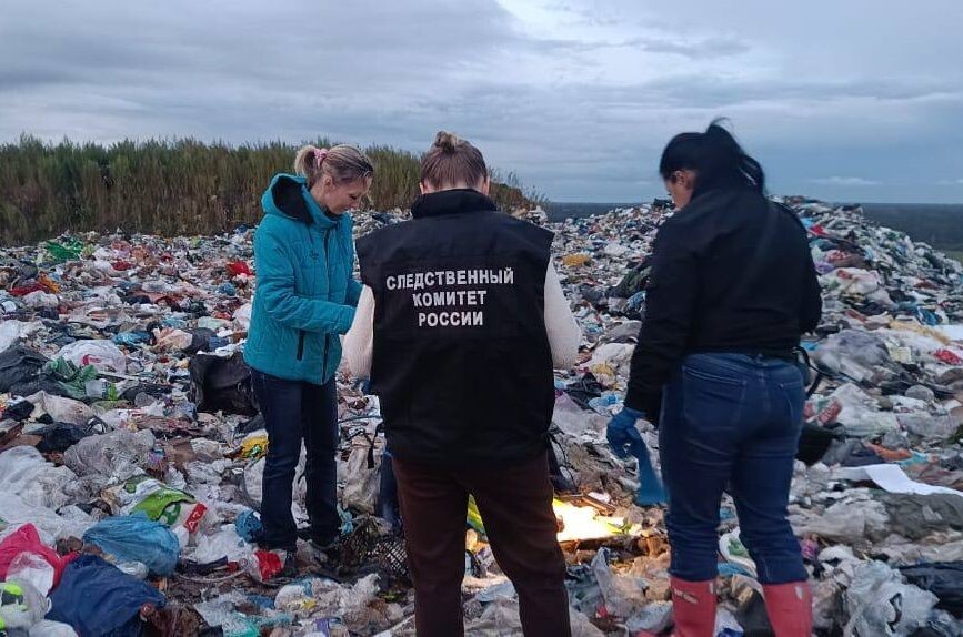     / Источник: © Следком Ленинградской области