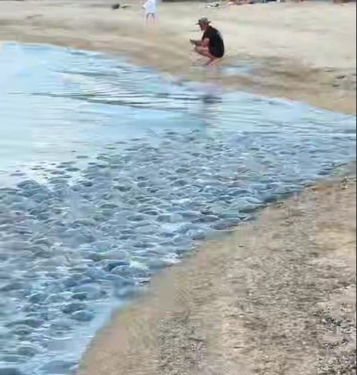    Фото: t.me/makovozovy, источник: Telegram-канал