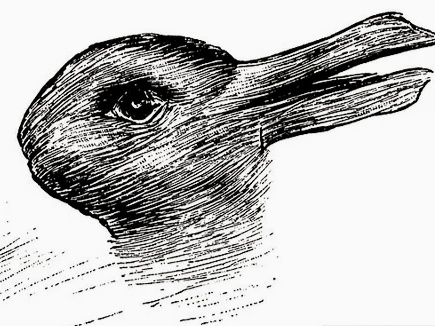 Кролик- Утка. 1892 г. 