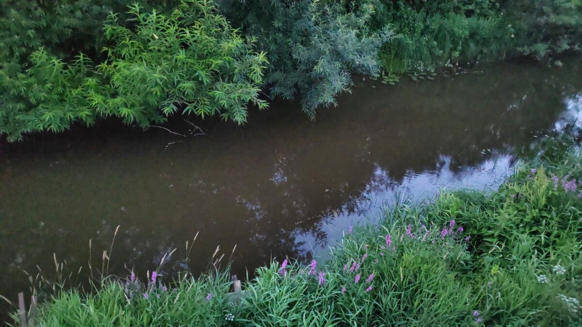 Еженедельный астропрогноз 25 – 31 августа 2025 года