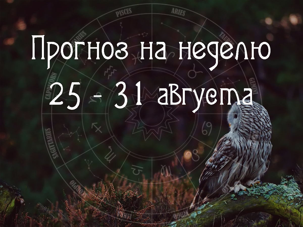 Астрологический прогноз на 25 – 31 августа 2025 года