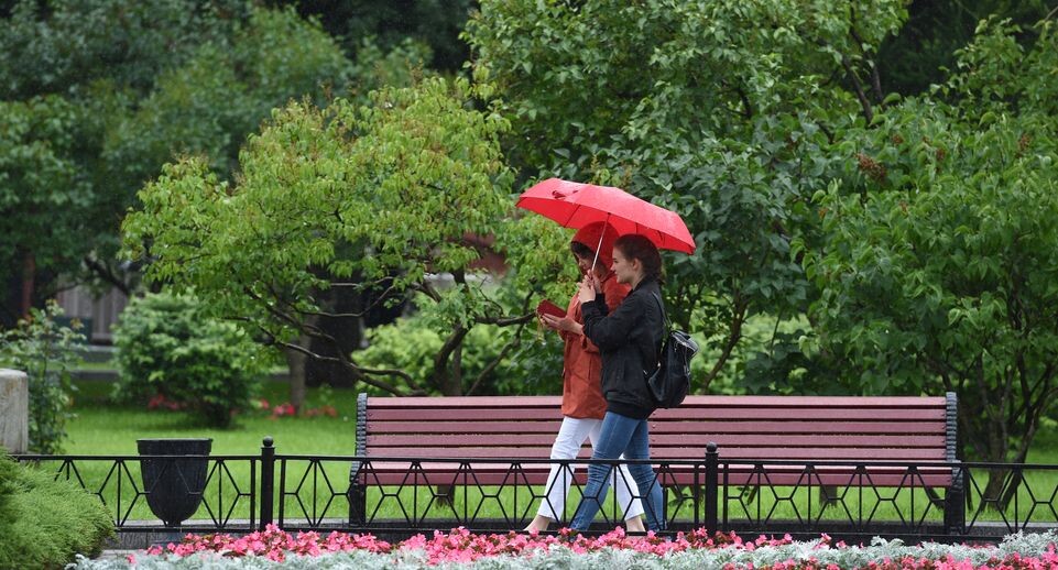    Медиасток.рф