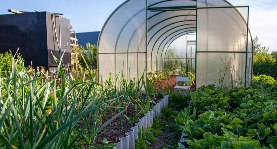    Oksana Korol/Business Online / www.globallookpress.com