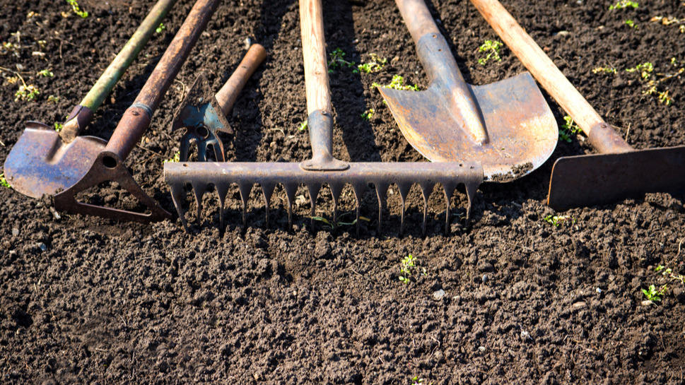 Обработка инвентаря хлоркой - обязательный этап профилактики