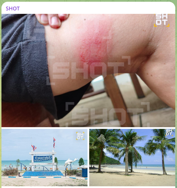    Скриншот телеграм-канал Shot