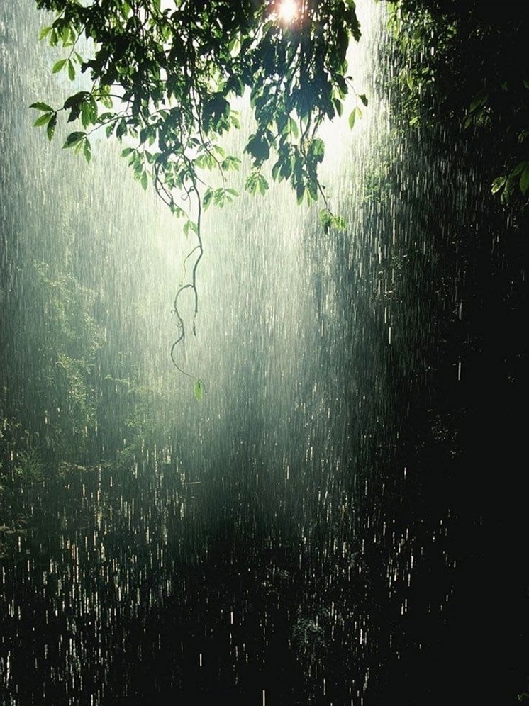     Фото: pxhere.com