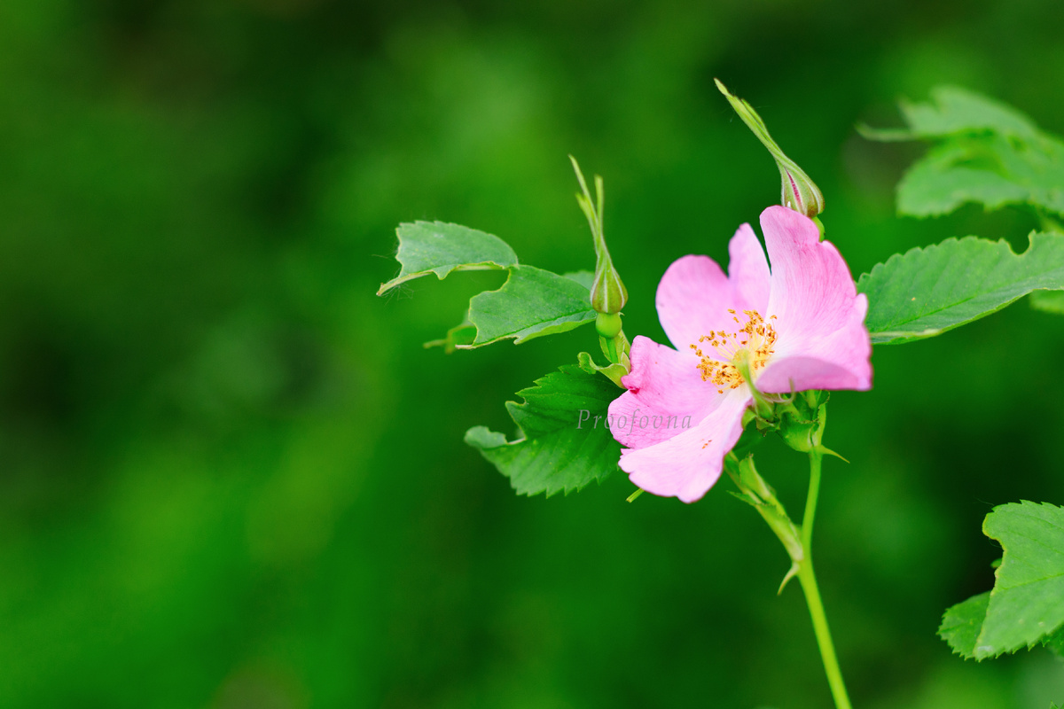 фото из личного архива автора канала