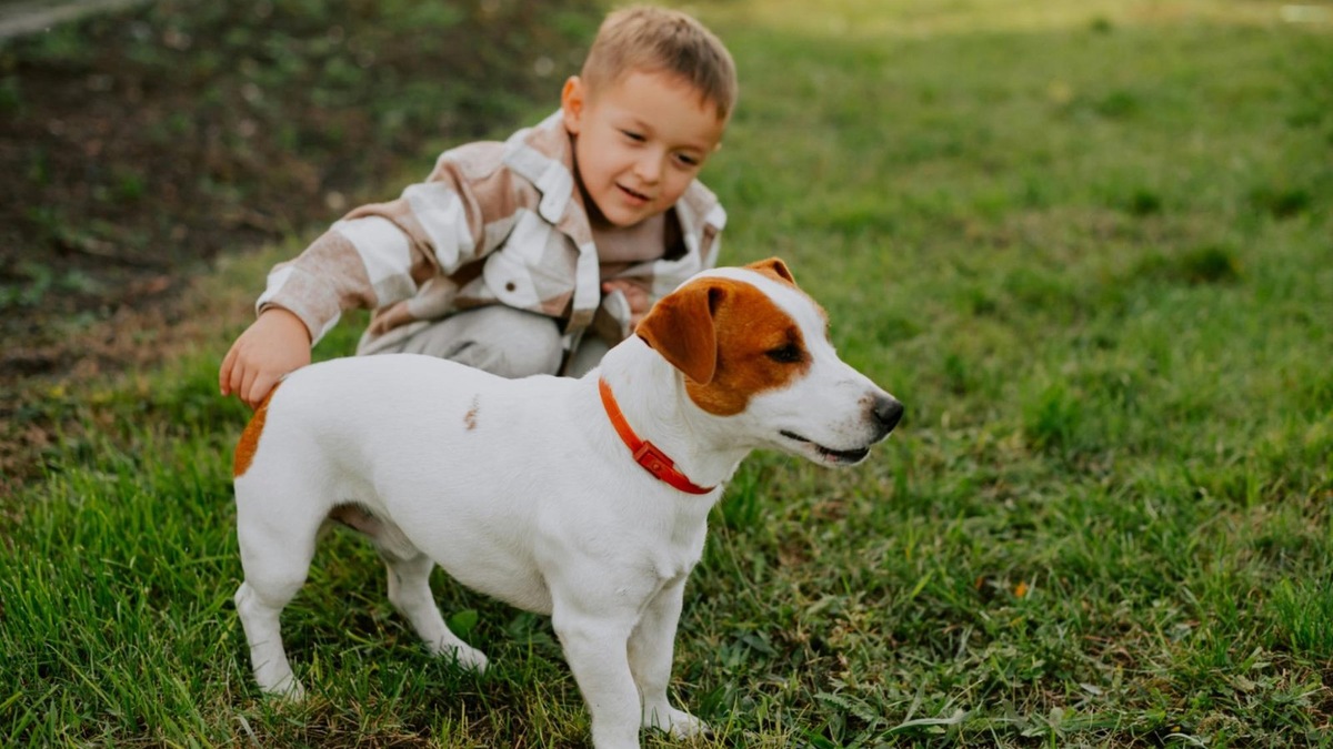    Гладить собаку стоит по спине или бокам — это учит ребенка проявлять заботу, не причиняя питомцу дискомфорт.