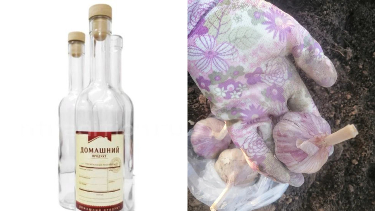 Подготовленный инструмент и качественный посадочный материал - залог успеха