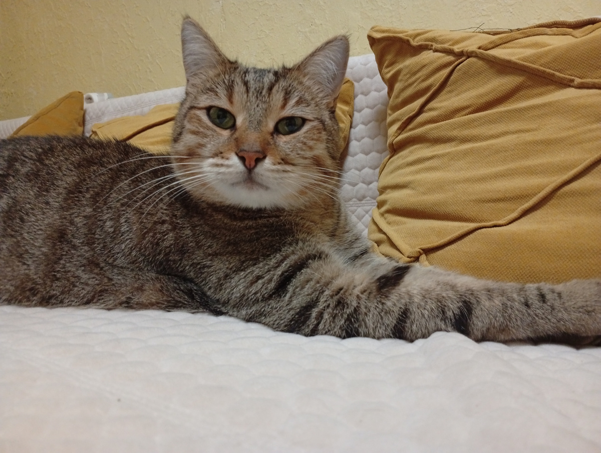 Хорошего дня Вам!