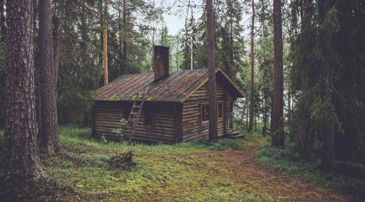 Яндекс картинки