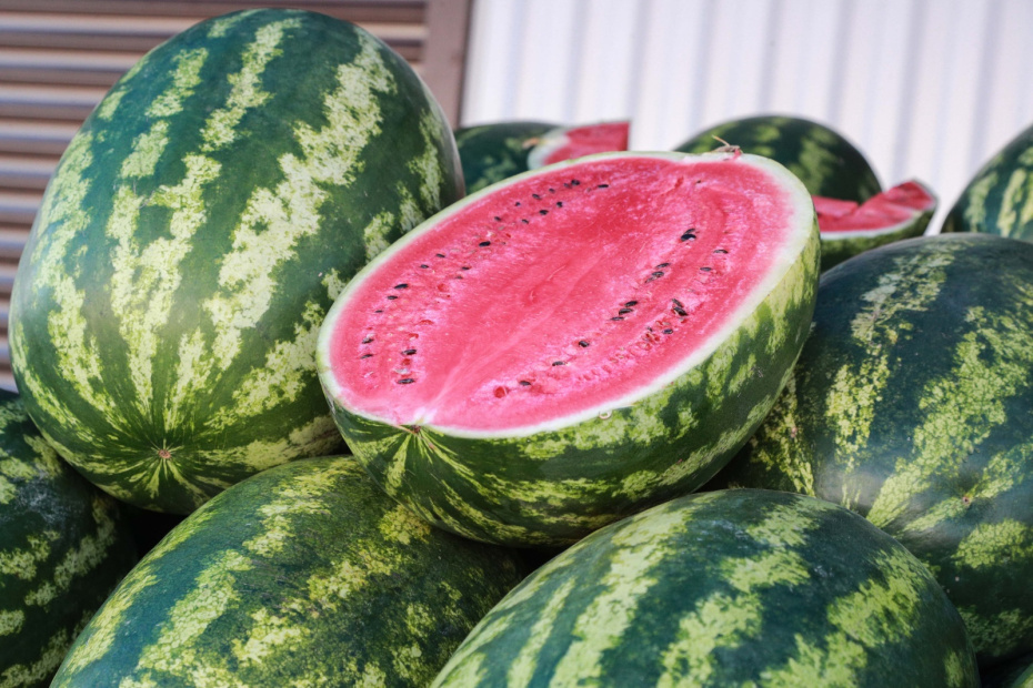    Сергей Булкин/NEWS.ru