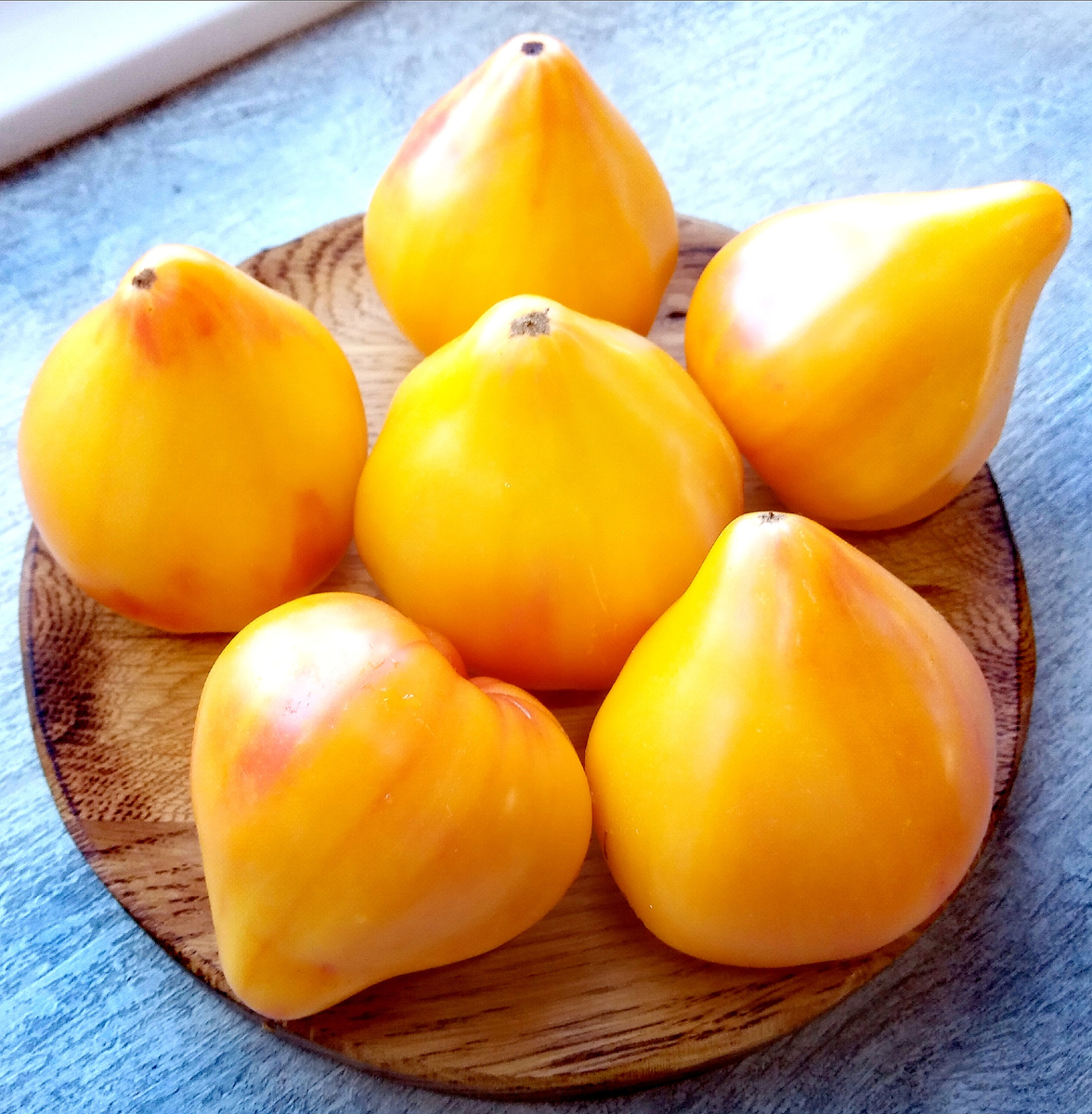 Фото автора от 24.08.2025г. Групповой портрет помидоров сорта Друг.