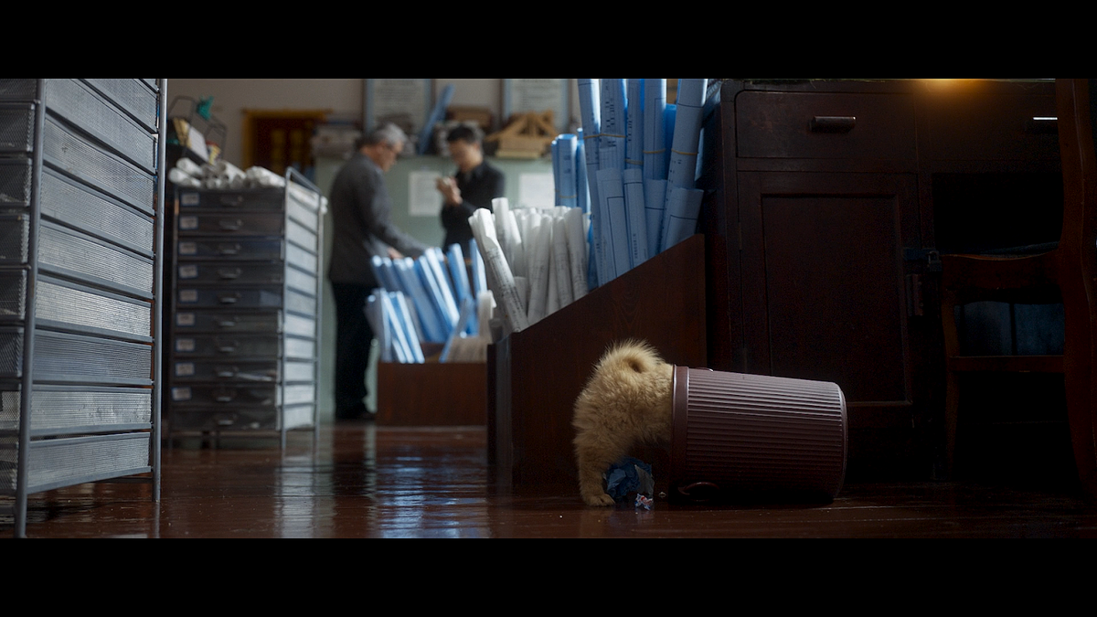 Кадр из фильма Мой Хатико (2023)