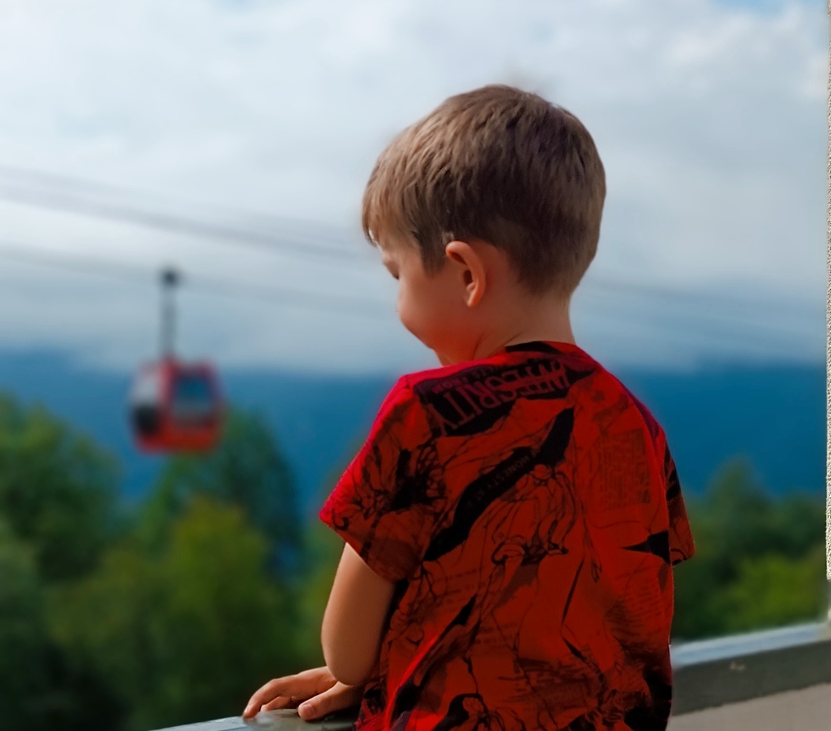 Фото принадлежит автору 