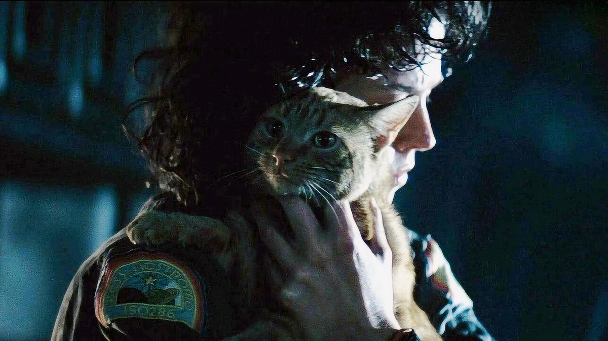 Кадр из фильма "Чужой" 