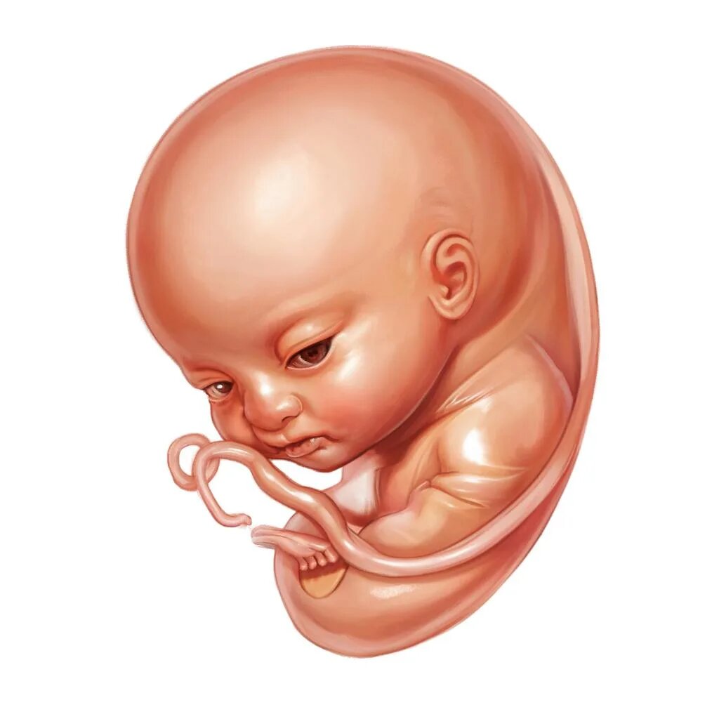 Это изображение создала нейросеть Гигачат