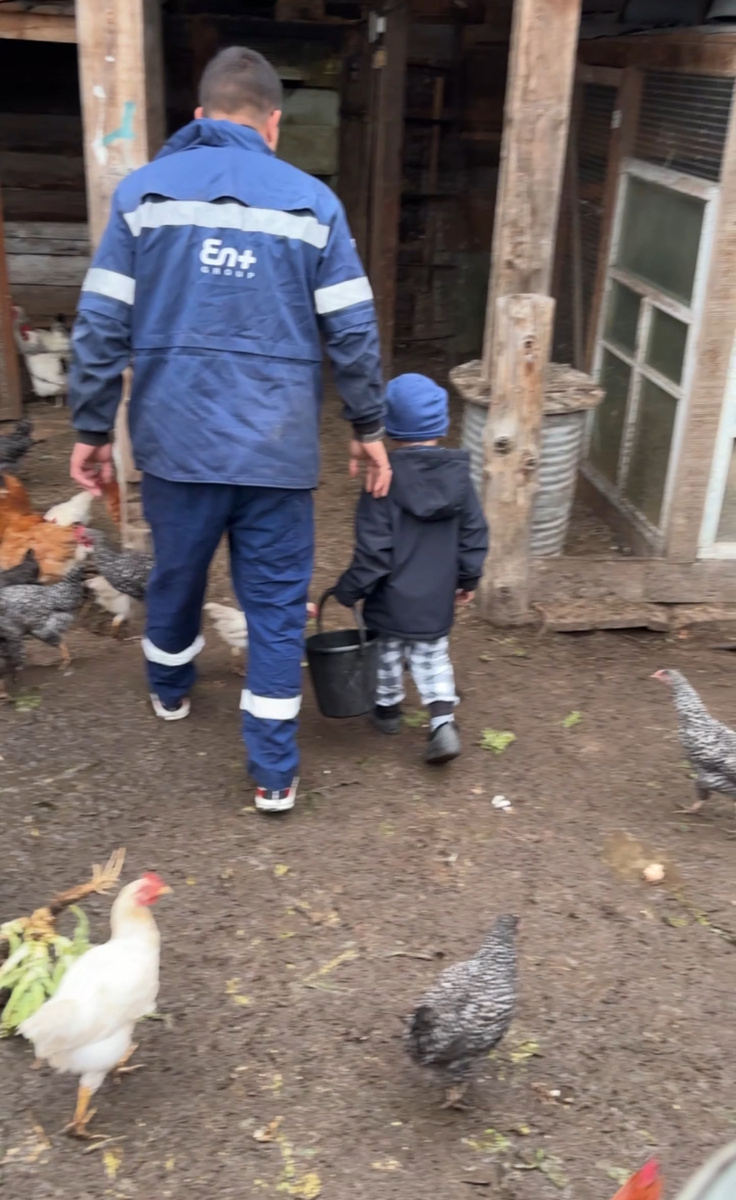 Наш курятник