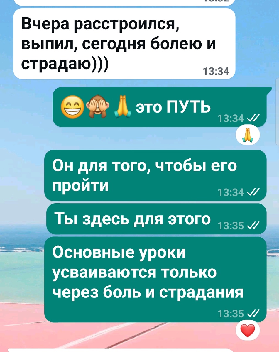 Скриншот переписки с N.