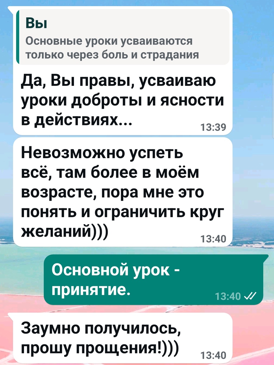 Скриншот переписки с N.